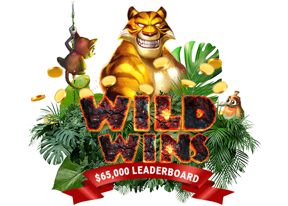 $65,000 Wild Wins Leaderboard